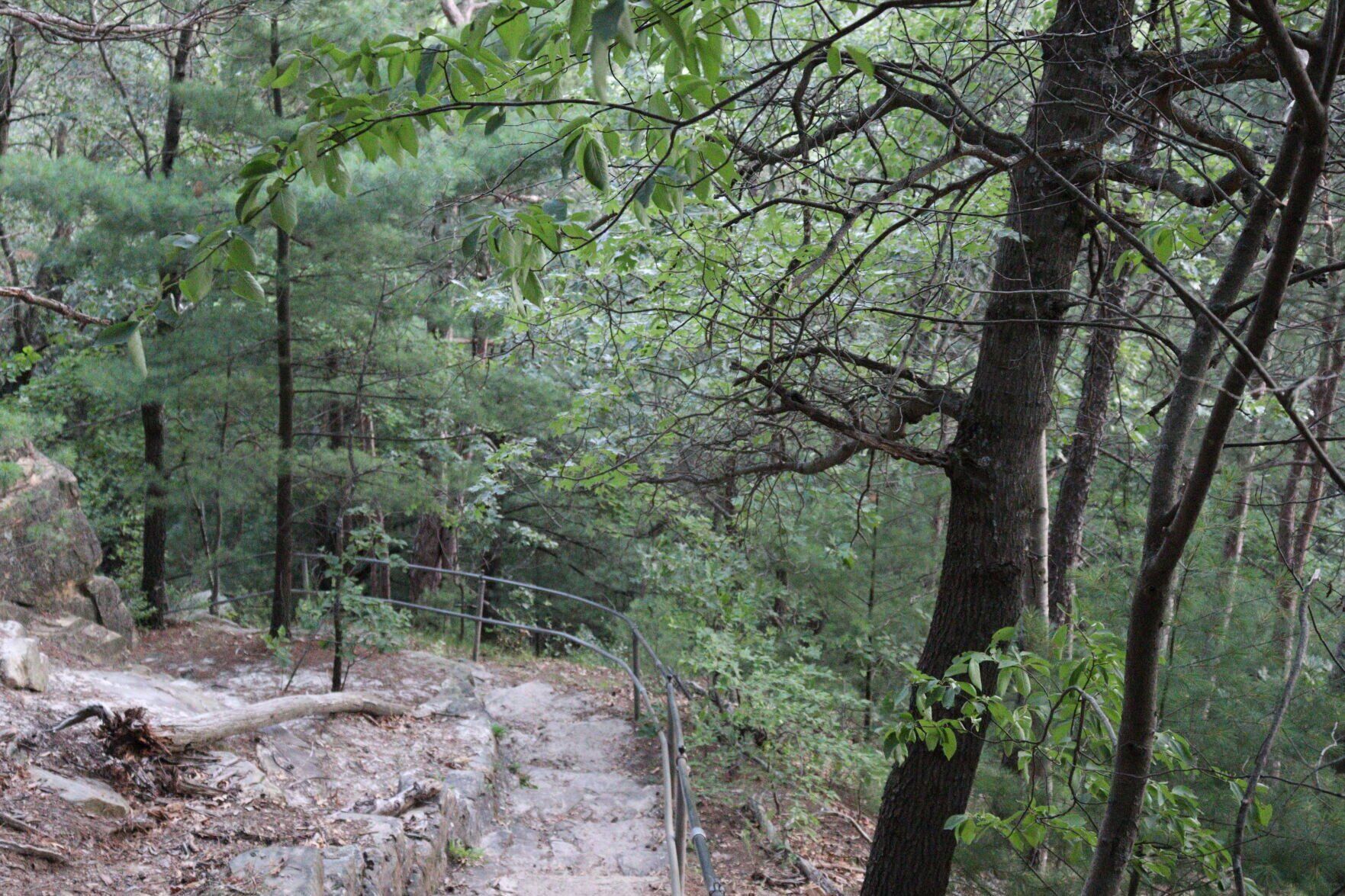 Mill Bluff State Park